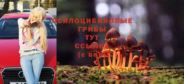 MESCALINE Алзамай