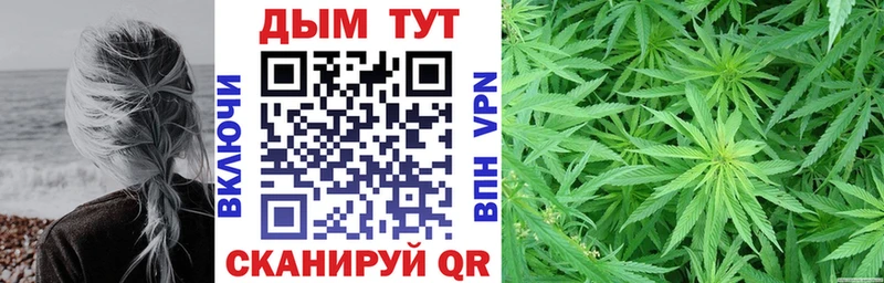 Бошки марихуана план  Суджа 